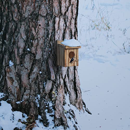 Humming Bird Houses for Outdoor Hanging Small Bird Nesting Box - Wood Nest for Robin, Hummingbird, Parakeet, Bluebird - Perch House for Outdoors NATUREYLWL