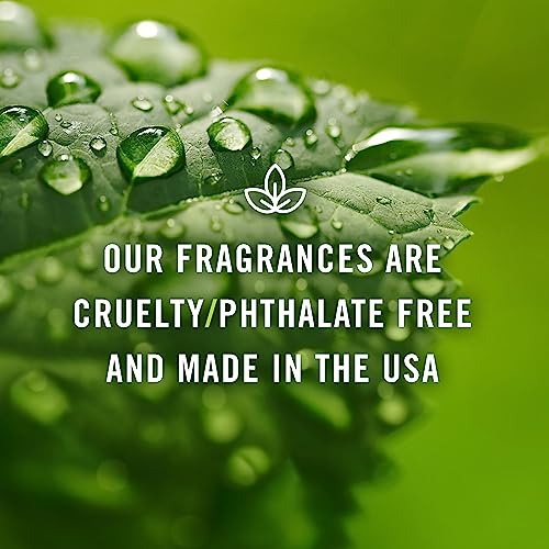 P&J Trading Spice Set of 6 Premium Grade Fragrance Oils - Cinnamon, Harvest Spice, Apple Cider, Coffee Cake, Gingerbread, Pumpkin Pie - 10ml P&J Trading