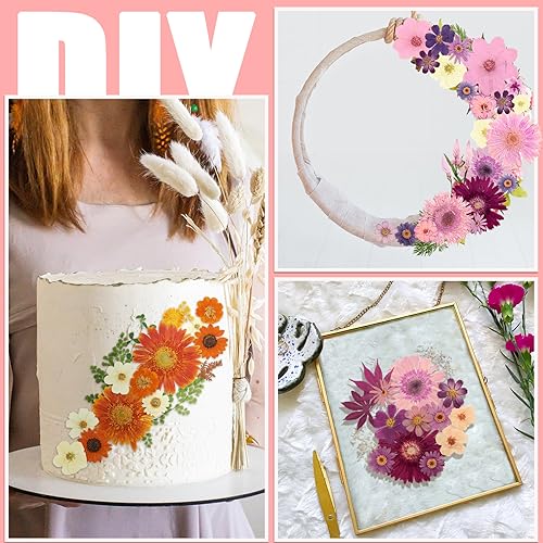 Pressed Flowers Bulk Dried Flower for Resin Mold, Dried Flower Leave Natural with Tweezer for Crafts Christmas DIY Gift Scrapbooking(Rustic Style) Nuanchu