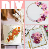 Pressed Flowers Bulk Dried Flower for Resin Mold, Dried Flower Leave Natural with Tweezer for Crafts Christmas DIY Gift Scrapbooking(Rustic Style) Nuanchu