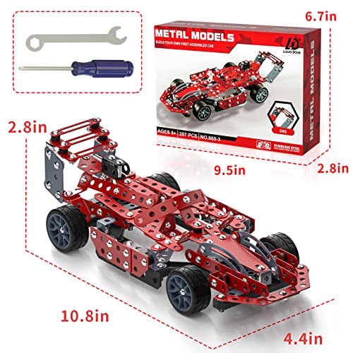 Lucky Doug Building Kit Model Car Set - 287 Pieces STEM Project Building Toys for Kids Ages 8-12, Assembly Technique Car Building Kits Red Vehicle Lucky Doug