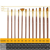 12 Paint Brushes HissiCo