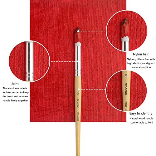 Artecho Art Paint Brushes Set 24 Different Shapes for Watercolor, Acrylic, Gouache, Rock Painting, Premium Taklon Brush, with Organizing Case for Artecho