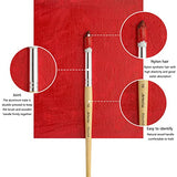 Artecho Art Paint Brushes Set 24 Different Shapes for Watercolor, Acrylic, Gouache, Rock Painting, Premium Taklon Brush, with Organizing Case for Artecho