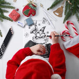 PANDAFLY Drawing Sketching Pencil Set, 22 Piece Pro Art Pencil Kit - Graphite Pencils (12B-2H), Black and White Charcoal Pencils, Charcoal Sticks, PANDAFLY