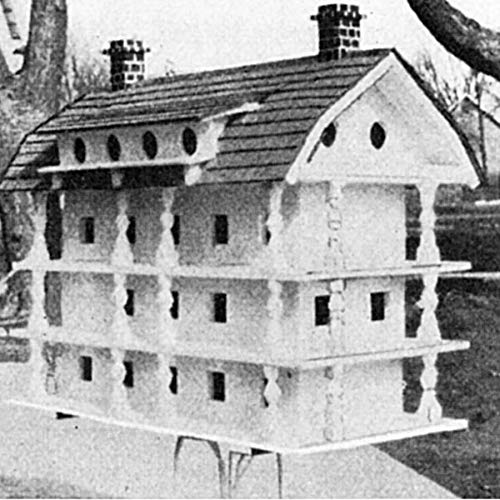 Making Birdhouses: Easy and Advanced Projects (Dover Woodworking) Dover Publications