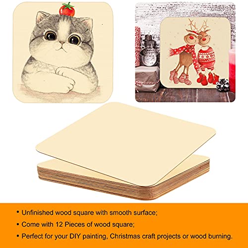 12 Pieces 12 x 12 Inches Unfinished Squares Blank Wooden Pieces Wooden Square Cutouts Wood Slices for Painting Writing Carving DIY Arts Craft Project Coopay