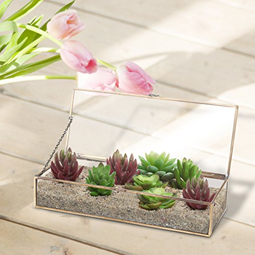 MyGift Glass Jewelry Box, Vintage Style Brass Metal & Clear Glass Mirrored Shadow Box Jewelry Display Case with Hinged Top Lid MyGift