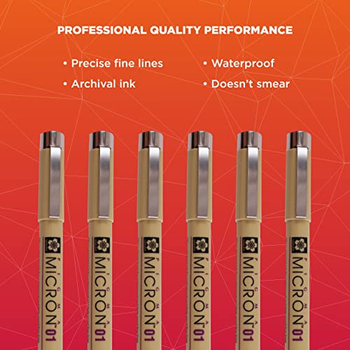 SAKURA Pigma Micron Fineliner Pens - Archival Black Ink Pens - Pens for Writing, Drawing, or Journaling - Black Ink - 01 Point Size - 6 Pack SAKURA