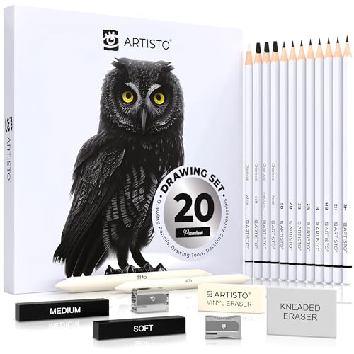 Artisto Drawing and Sketching Pencil Art Set (20 Items) - Complete Kit with Graphite Pencils, Charcoal Pencils, Sticks, Blending Stumps, Erasers, and - WoodArtSupply