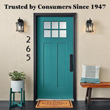 Krylon KSCB028 Short Cuts Brush-On Paint, 1-Ounce, Flat Black Krylon