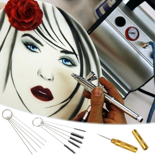 BLMHTWO 11 Pieces Airbrush Cleaning Kit, Airbrush Accessories Airbrush Spray Cleaning Repair Tool Kit Includes 1 Piece Wash Needle 5 Pieces Cleaning BLMHTWO