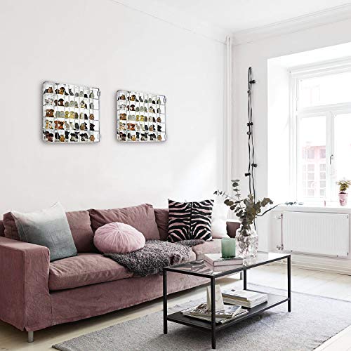 Ikee Design Mountable 25 Compartments Acrylic Display Case Cabinet Stand with Mirrored Back - Display Shelves for Collectibles, Gemstone and Figures, Ikee Design