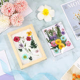 Cayway 9 Pack Dried Flower Paper Craft Set Include 3 Pack Mixed Wooden Paper Making Mold Frame, Dried Flowers, Spoon Stirrer N\A