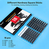 Dyvicl Compressed Graphite Charcoal Sticks, Square Black White Charcoal for Sketching, Drawing, Shading, Blending, Pack of 18 Dyvicl