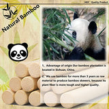 25PCS Dowel Rods Wood Sticks Wooden Dowel Rods - 1/4 x 12 Inch Unfinished Bamboo Sticks - for Crafts and DIYers DaTpuik