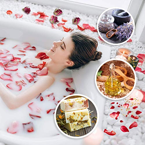 9 Bags Dried Flowers,100% Natural Dried Flowers Herbs Kit for Soap Making, DIY Candle Making,Bath - Include Rose Petals,Lavender,Don't Forget SACATR