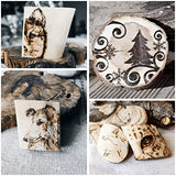 Toolly Wood Burning Kit, Wood Burning Tool, Temperature Adjustable Pyrography Machine, Upgraded 60W Digital Wood Burner Tool with 30PCS Wire Tips for Toolly