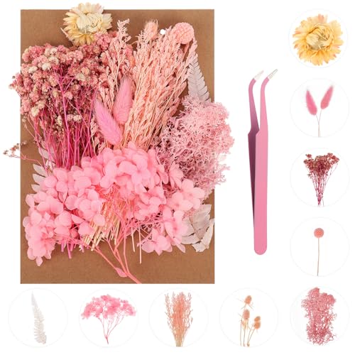 QSCFKL Real Dried Flowers, Dried Pressed Flowers for Resin Molds，Natural Dried Flowers Mixed, Hydrangeas, Daisies, Natural Pressed Flowers White - WoodArtSupply