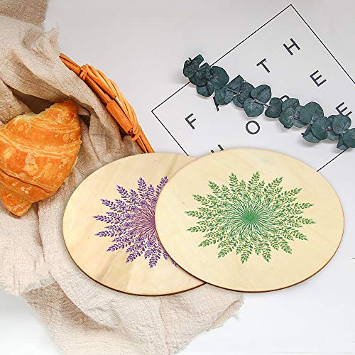 Newbested 10 Pack 8 Inch Unfinished Natural Wood Round Circle for DIY Crafts,Pyrography,Painting,Engraving,Home Decoration Newbested