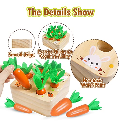 Wooden Toys for 1 2 3 Year Old Baby Boys and Girls, Montessori Toy Carrot Harvest Game Shape & Sorting Matching Puzzle, Educational Developmental Skrtuan