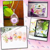 Dried Flowers for Resin Natural Dried Pressed Flowers for DIY Jewelry Molds, Art Crafts Scrapbooking, Candle, Soap Making, Nails Décor Augshy