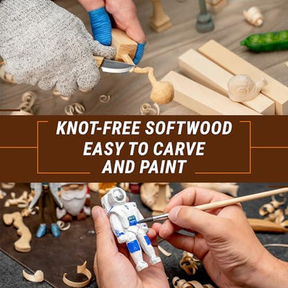 BeaverCraft BW16 pcs Basswood Carving Blocks Carving Wood Whittling Wood Bass to Carve Soft Wood Carving Kit for Beginners Block of Wood for Crafts