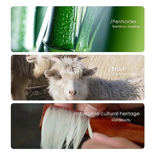 SEAMEW 10-Piece Chinese Calligraphy Brush Set - Premium Watercolor Brushes for Kanji, Japanese Sumi, Painting, Drawing, Art Supplies with Roll-up SEAMEW