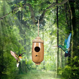 Hummingbird House 2022 New Wooden Bird House Pendant, Wren Swallow Sparrow Nesting Garden Decoration Hummingbird House Outside ... (1 Piece C) ... ASIBT