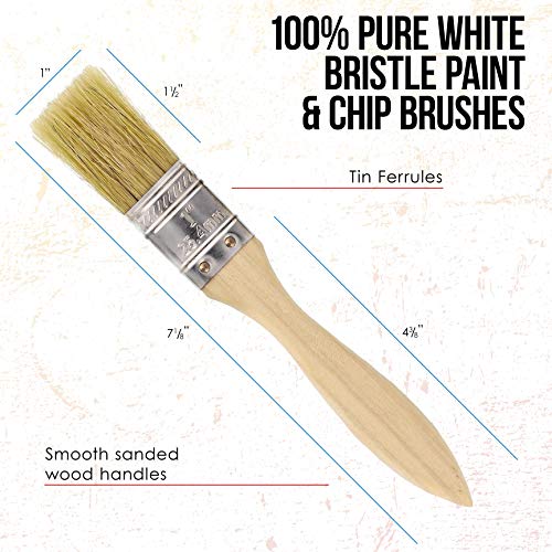 US Art Supply 20 Pack of Assorted Size Paint and Chip Paint Brushes for Paint, Stains, Varnishes, Glues, and Gesso US Art Supply