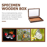 Cabilock Wood Glass Top Display Case Wooden Jewelry Display Case Storage Tray Collectibles Organizer Wood Keepsake Collector Storage Box with Metal Cabilock