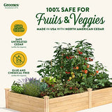 Greenes Fence Original Cedar Raised Garden Bed, 4' x 8' x 14" - Made in USA with North American Cedar Greenes Fence