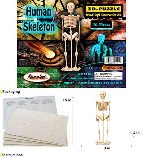 Puzzled 3D Puzzle Human Skeleton Wood Craft Construction Model Kit, Fun & Educational DIY Wooden Toy Assemble Model Unfinished Crafting Hobby Puzzle