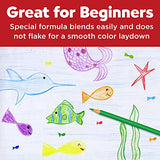 Faber-Castell Triangular Colored EcoPencils - 12 Count Faber-Castell