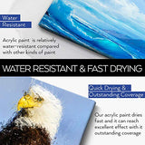 Acrylic Paint White Color (128 oz/1 Gallon), Titanium White With Rich Pigment Non Toxic Paint for Kids Students Artists Painters HissiCo