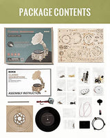 ROKR 3D Wooden Puzzles for Adults-Model Building Kit for Adults to Build-424Pcs DIY Wood Craft Kit-Room Decor for Men and Women ROKR