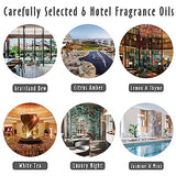Fragrance Oils, MitFlor Hotel Collection Diffuser Oil for Home, Soap & Candle Making Scents, Aromatherapy Essential Oils Gift Set 6x10ml, Lemon & MitFlor
