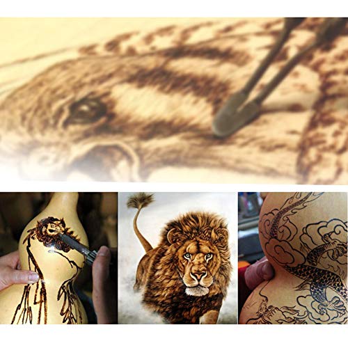 Afantti Electric Wood Burning Pen Tool Kit Set Professional Pyrography Machine Electric Woodburning Leather Burner | 23 Tips | Carry Case | for Adult Afantti