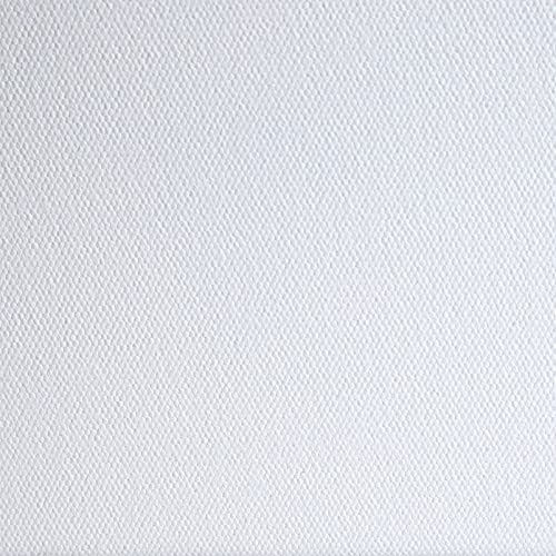 Liquitex Recycled Canvas, Traditional, 8" x 10", White Liquitex