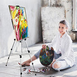 Ns Jymb Portable Artist Easel Stand, Adjustable Easel for Painting Canvases Height from 17 to 66 Inch,Carry Bag for Table-Top/Floor Didplaying and Ns Jymb