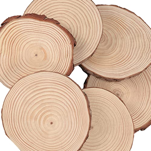 SOUJAP 10 Pcs 7-8 Inch Natural Wood Slices, Unfinished Wood Slices with Tree Barks, Wooden Circles for Crafts, DIY Arts, Rustic Wedding Decorations, SOUJAP