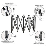 AMERICAN PHOENIX 10x20 Canopy Tent Pop Up Portable Instant Commercial Heavy Duty Outdoor Market Shelter (10'x20' (Black Frame), Black) AMERICAN PHOENIX