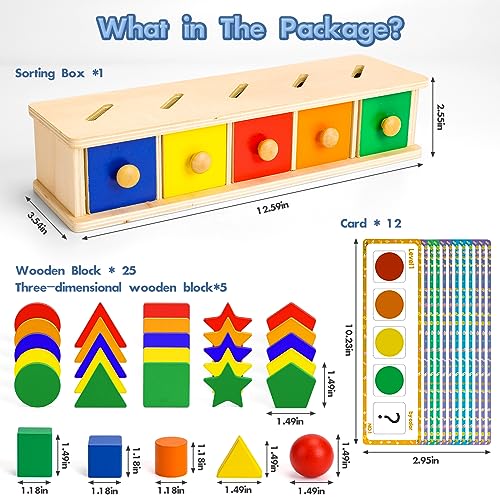 Montessori Toys Wooden Color & Shape Sorter Toys for Toddlers 1-3 Matching Box Sorting Blocks Manipulatives Preschool Learning Activities Educational Peacurh