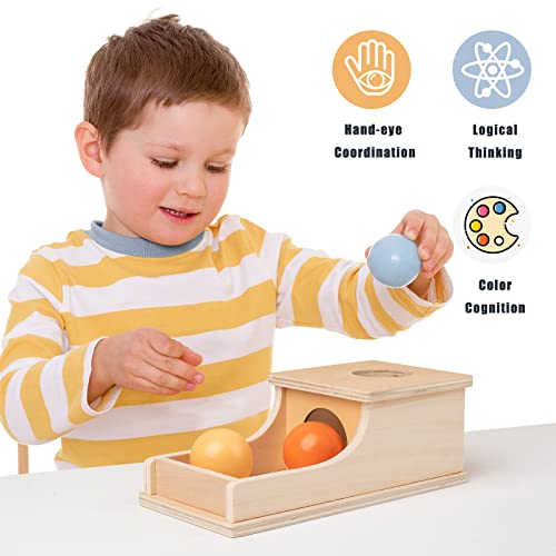 Busy edition Montessori Toys Object Permanence Box Soft Sound Wooden Color Baby Ball Drop Play for 6 Month 1 2 3 Year Old Toddlers Infant Early Age