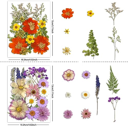Buzidao Dried Pressed Flowers, 80Pcs Real Natural Pressed Flowers for Resin DIY Crafts Nail Art Candle Jewelry Making, Real Dried Pressed Flowers, Buzidao