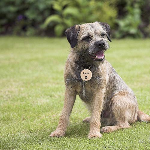 VIOCIWUO 50Pcs Natural Wood Slices Keychain, 1.38 inch Unfinished Wood Sign, Unfinished Log Discs Wooden Circles with 50Pcs Key Rings for DIY Crafts VIOCIWUO