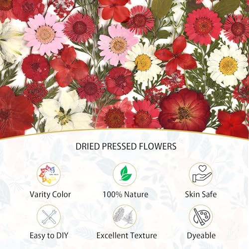 DALARAN 100pcs Red Natural Flowers and Leaves Compressed Dried Flowers for Resin Vacuum Packed DIY Dried Flowers for Epoxy Jewelry Candles Soap Nail DALARAN