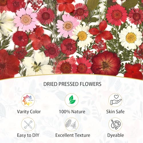 DALARAN 100pcs Red Natural Flowers and Leaves Compressed Dried Flowers for Resin Vacuum Packed DIY Dried Flowers for Epoxy Jewelry Candles Soap Nail - WoodArtSupply