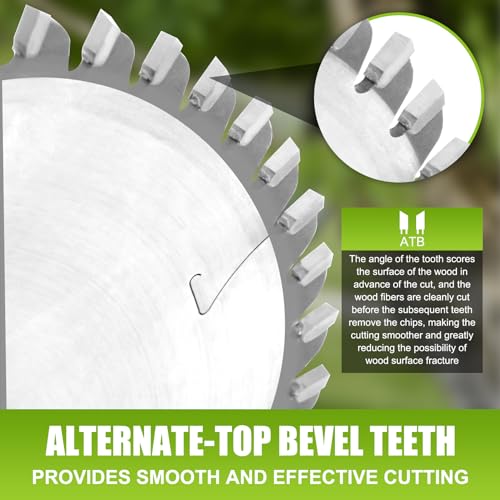 495377 Track Saw Blade for TS 55, TSC 55, TS 60, ATF 55 E, HK 55, HKC 55 festool Track Saw Plunge Cut Saw 160mm, 2.2mm, 20mm 48t ATB festool Track Jisculo