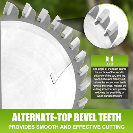 495377 Track Saw Blade for TS 55, TSC 55, TS 60, ATF 55 E, HK 55, HKC 55 festool Track Saw Plunge Cut Saw 160mm, 2.2mm, 20mm 48t ATB festool Track Jisculo